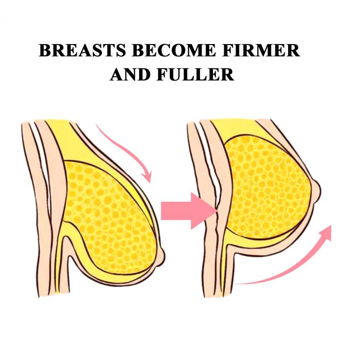 女性の乳房を大きくするプロのQCチームで 乳房美容液 5
